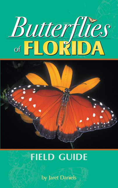 Butterflies Florida FG